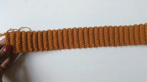 Feee Crochet sheer top Pattern For Beginners 1