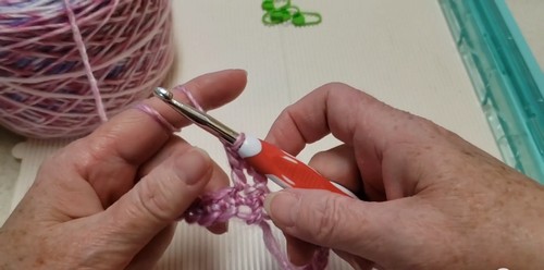 Beginner Friendly Crochet Cute Summer Casual Top Outfit 2