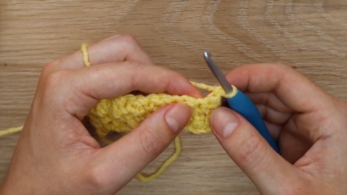 Close-up of Lemon Peel Stitch crochet texture.